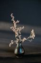 Gedroogde Bloemen in Zwarte vaas in middag zon van NANI IS MOOI thumbnail