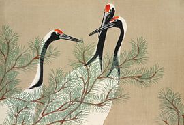 Cranes from Momoyogusa - Flowers of a Hundred Generations, Kamisaka Sekka