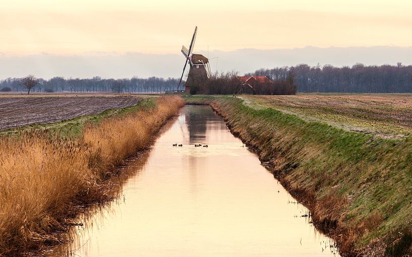 Le moulin Groote Polder à Slochteren par Marga Vroom