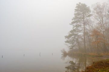 Bord de l'eau dans le brouillard sur Johan Vanbockryck