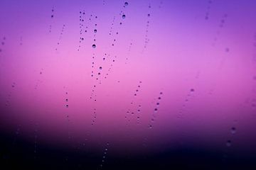 Regen bij zonsopkomst van Sim Van Gyseghem