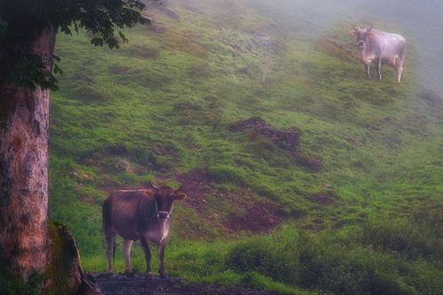 Frieden und Ruhe in den Bergen
