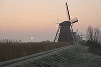 Lever de soleil sur les moulins à vent de Kinderdijk