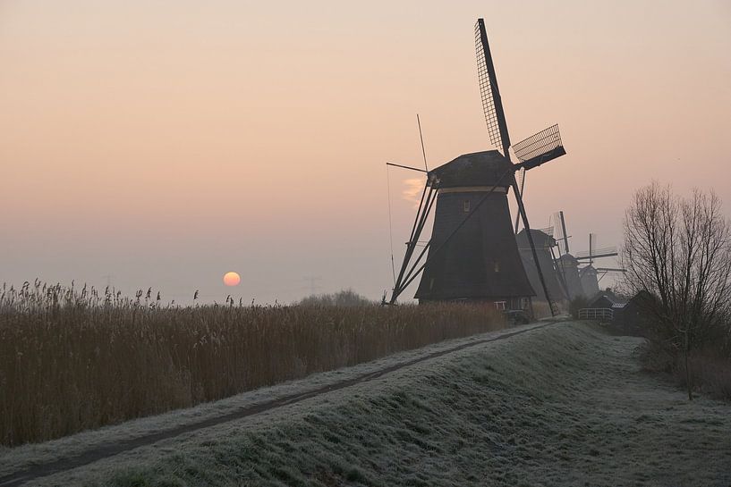 Sunrise at the windmills of Kinderdijk by Corné Stam
