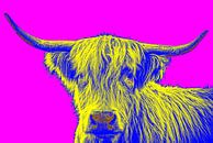 Vrolijk beeld van een Schotse Hooglander in popart stijl van Atelier Liesjes thumbnail