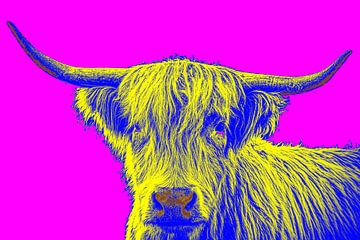 Image joyeuse d'un Highlander écossais dans le style pop art sur Atelier Liesjes