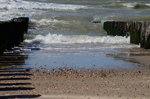breakwaters of domburg