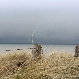 Storm op komst 1 by Bas van Veen