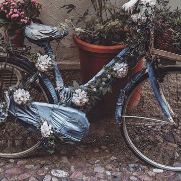 Revêtement de la bicyclette sur Bert Olivier