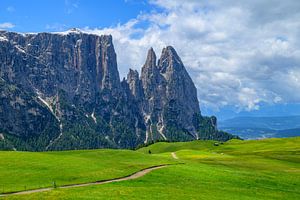 Schlernmassiv von der Seiser Alm aus gesehen