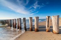 houten golfbreker op het strand langs de Nederlandse kust in de provincie Zeeland van gaps photography thumbnail