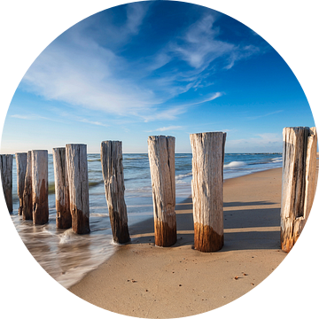 houten golfbreker op het strand langs de Nederlandse kust in de provincie Zeeland van gaps photography