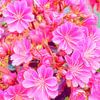 Rhododendron rose sur Digital Art Nederland