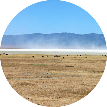 zoutvlakte ngorongoro van Roger Hagelstein