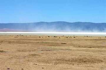 plaine salée du ngorongoro sur Roger Hagelstein