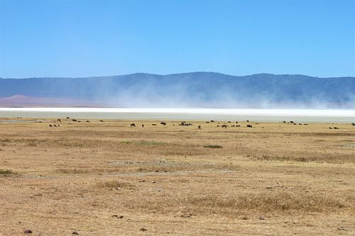 salt plain ngorongoro
