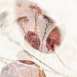 double exposure nature by Klaartje Majoor