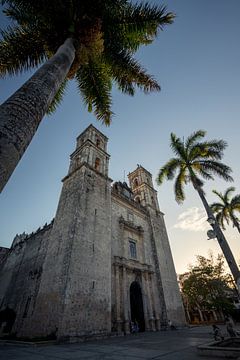 Kerk in mexico med palmbomen