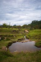 Paysage vert autour de Guatapé Colombie