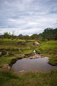 Paysage vert autour de Guatapé Colombie sur Sonja Hogenboom