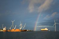 Eemshaven regenboog schepen van Jan Georg Meijer thumbnail