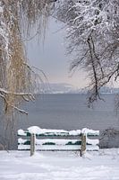 Vue sur le lac de Zoug, Suisse