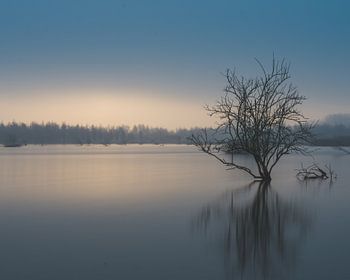 Einfachheit in ihrer schönsten Form