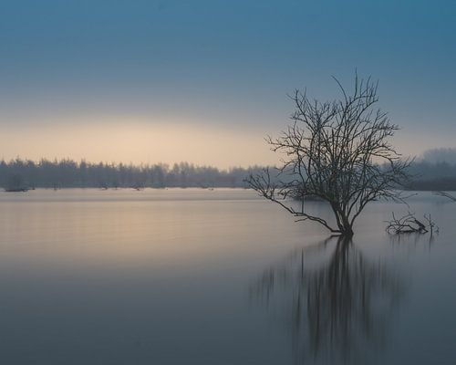 Eenvoud op zijn mooist