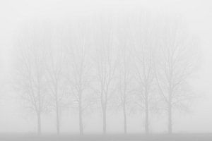 Silhouetten im Nebel.