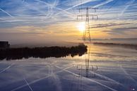 Landsmeerderveld van Steven van Zoelen thumbnail