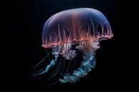 Jellyfish Portrait Black Background by Digitale Schilderijen thumbnail