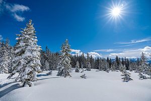 Filzmoos, Österreich