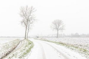 Photo en demi-teinte d'un paysage de neige en Zélande