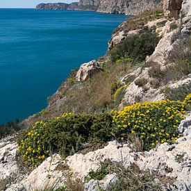Vu sur la mer avec des falaises escarpées sur Adriana Mueller