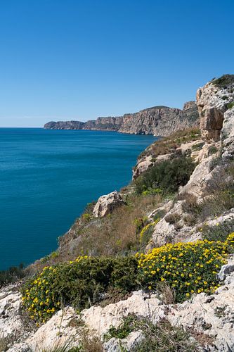 Malerischer Meerblick mit zerklüfteten Klippen von Adriana Mueller
