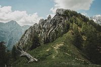 Kamnik Savinja Alpes