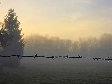 morning dew by Elise K. Tuni