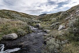 Norway | A rushing river near Mount Muen in Rondane National Park by Dylan Winter Visuals