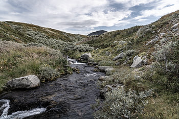 Noorwegen | Kolkende Rivier bij de Muen Berg in Rondane Nationaal Park