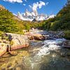 Fitz Roy Cascades en Mount Fitz Roy van Gunter Nuyts