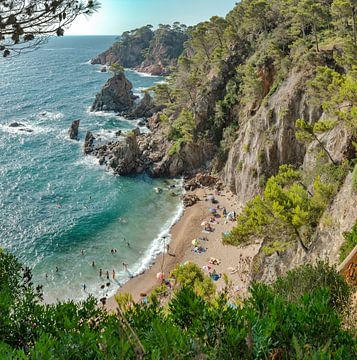 Strand Cala el Golfet, Calella de Palafrugell, Katalonien, Katalonien, Spanien, von Rene van der Meer