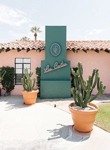 Palm Springs Views