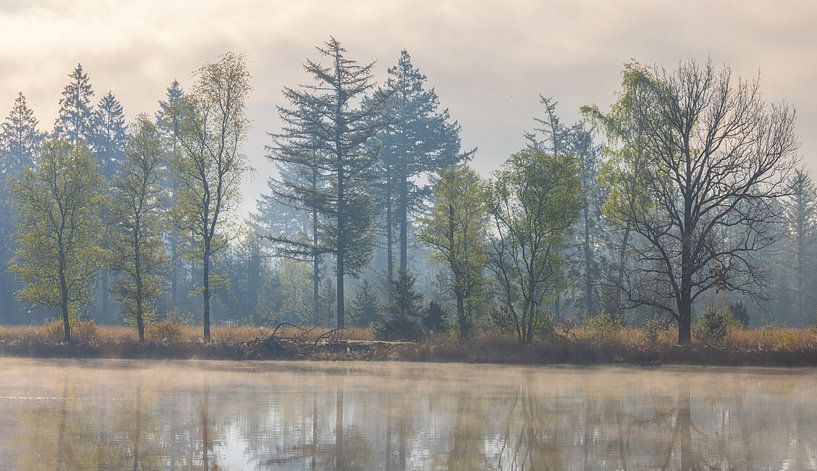 Fog during sunrise Dwingelderveld - Zandveen (Drenthe) Netherlands by Marcel Kerdijk