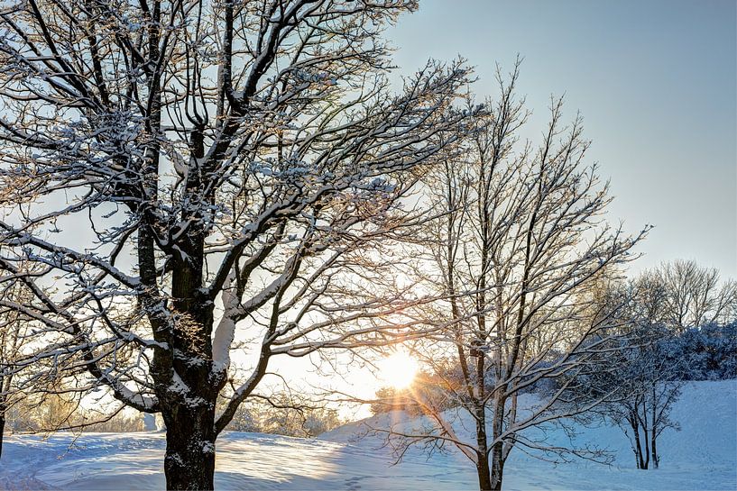 Snowy forest in the evening time. North Europe by Yevgen Belich