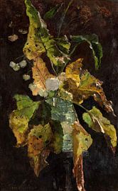 Bloemen en Bladeren, Floris Verster