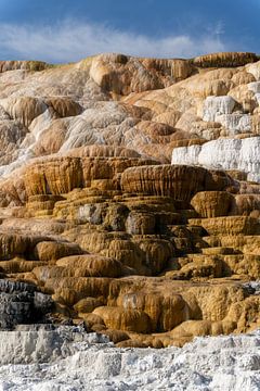 Mammoth Hot Springs, Yellowstone National Park, USA van Jeroen van Deel
