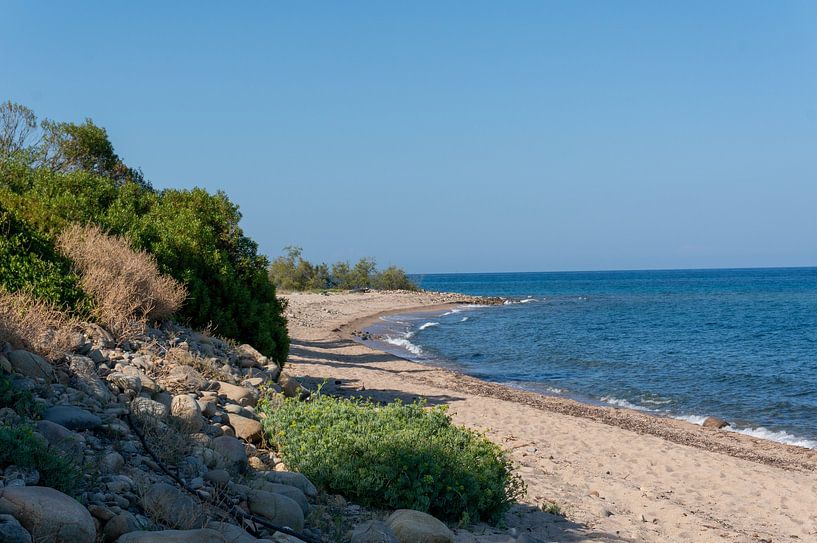 Küste des Mittelmeeres auf der Korsika Insel von Animaflora PicsStock