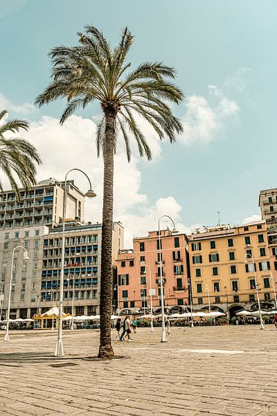 Summer vibes by Lima Fotografie