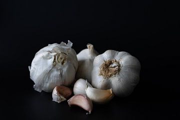 Garlic by Marian Goossens
