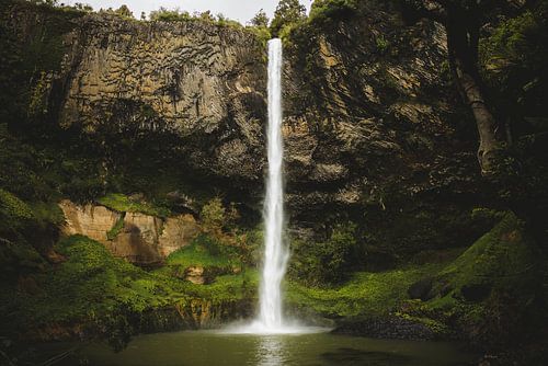 Raglan : Paradis du surf et de la créativité sur Ken Tempelers